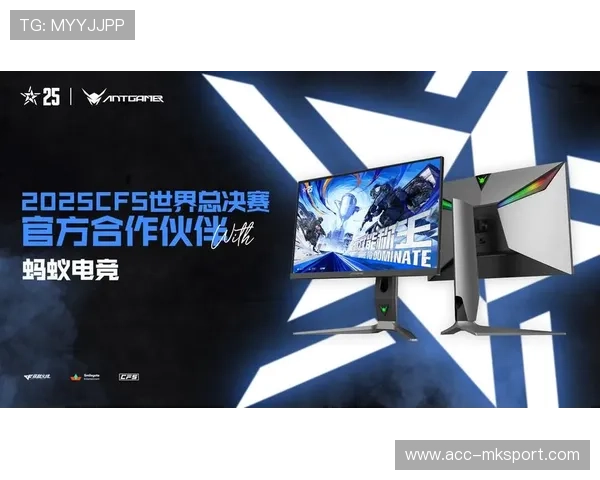 《电竞文化的传承与创新：新一代年轻人的精神寄托》，电竞 文化担当